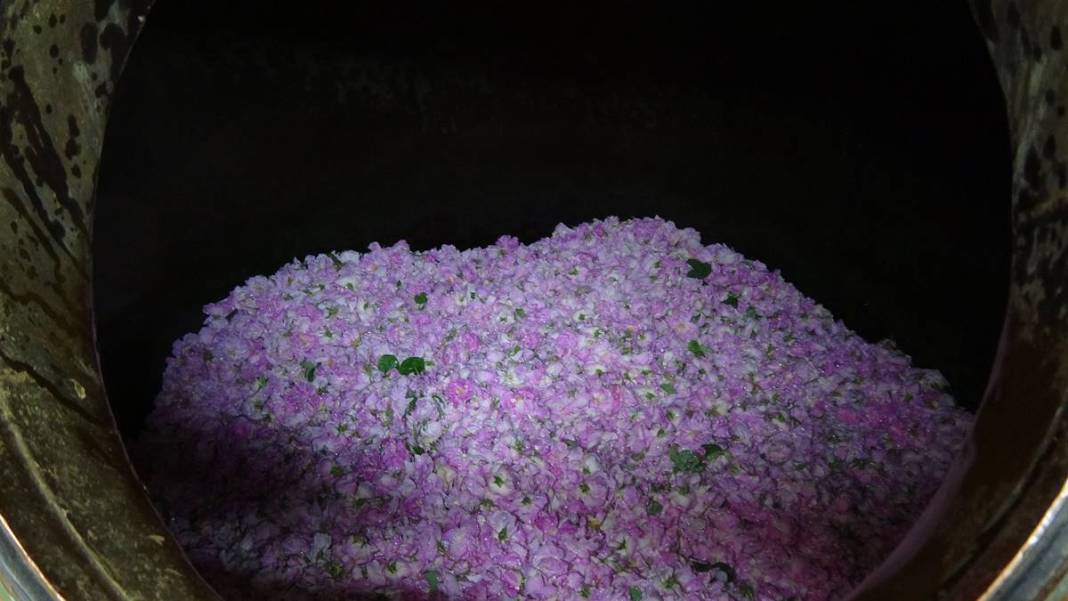 Göl manzaralı, gül kokulu bahçelerde hasat keyfi! Litresini 12 bin euroya satıyorlar 25